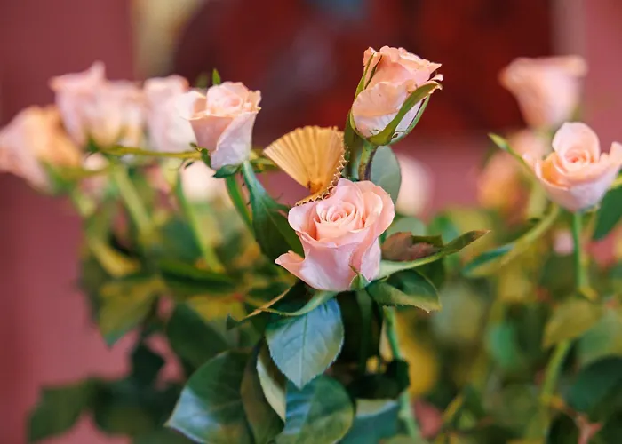 Dans Echoppe Bed & Breakfast Bègles